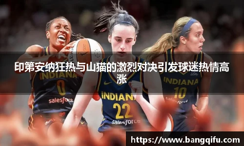 印第安纳狂热与山猫的激烈对决引发球迷热情高涨